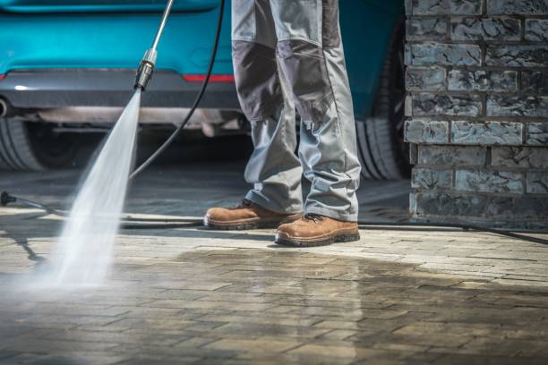 Best Paint Preparation  in Mascoutah, IL